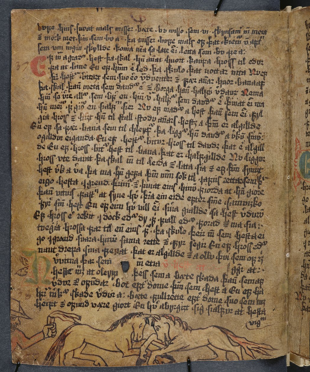 Pferdekampf, aus Heynesbok (Das Buch von Heynes), erste Hälfte des 16. Jahrhunderts von Icelandic School