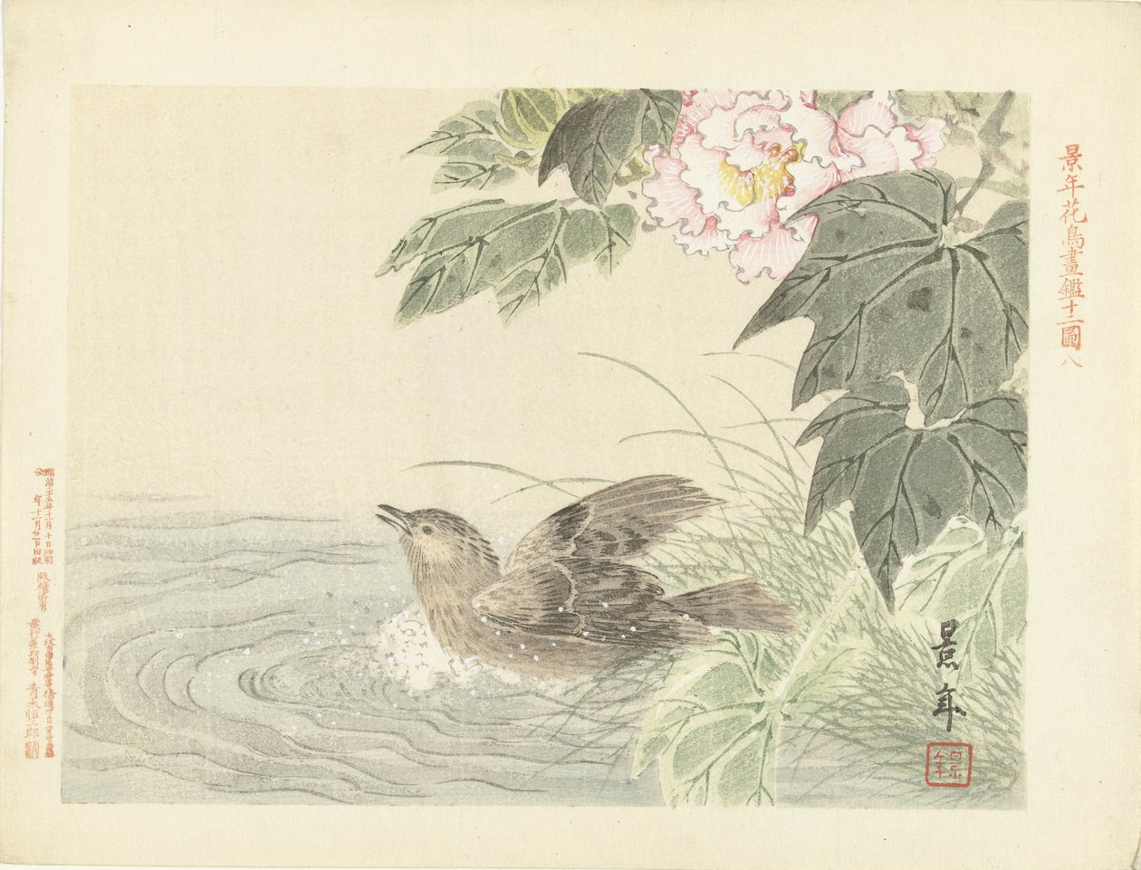 Badender Vogel bei rosa Blume von Imao Keinen