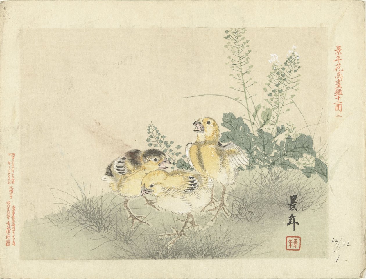 Drei Küken. Blumen- und Vogelskizzen von Keinen von Imao Keinen