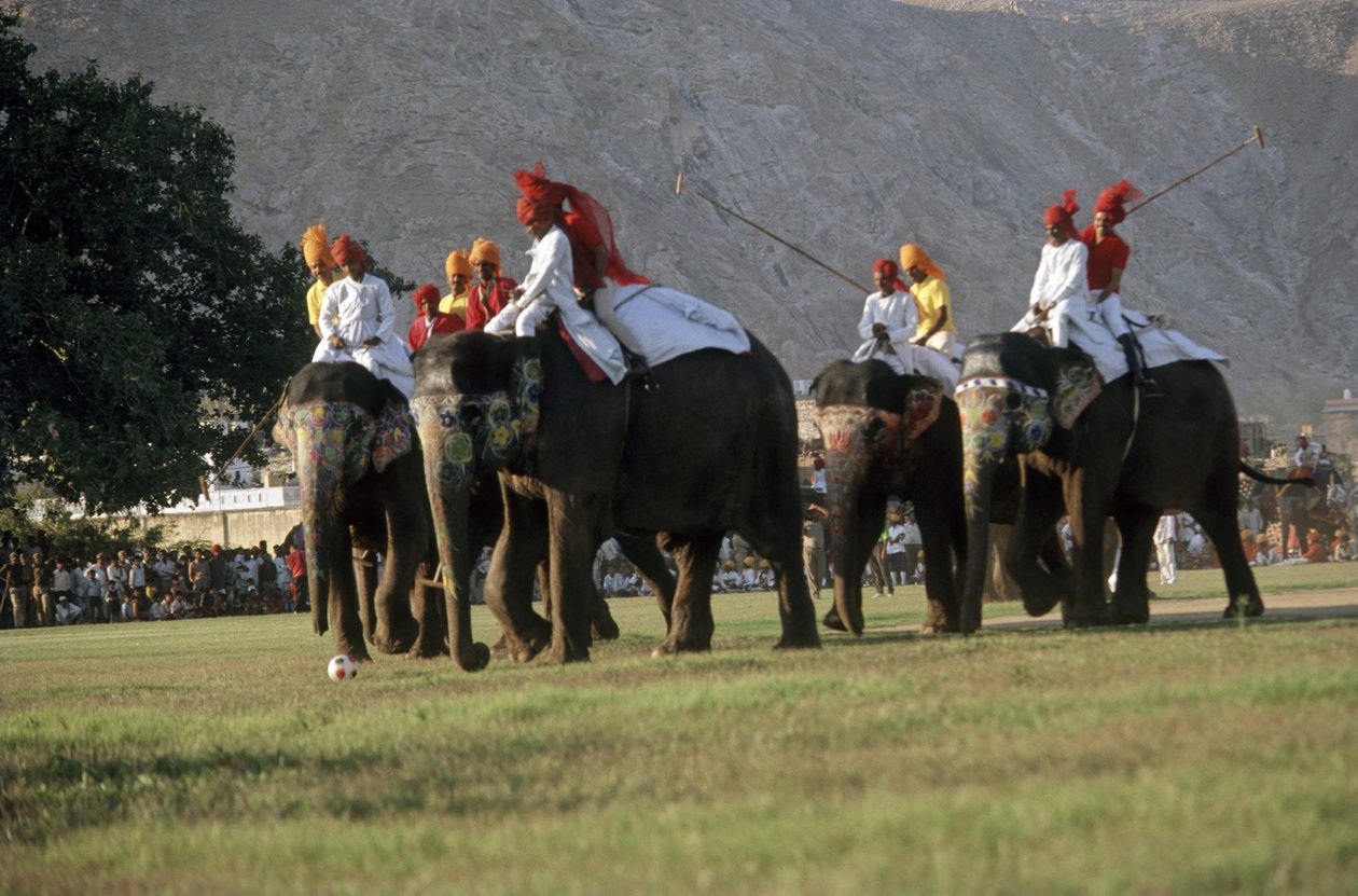 Männer spielen Elefanten-Polo von Indian Photographer
