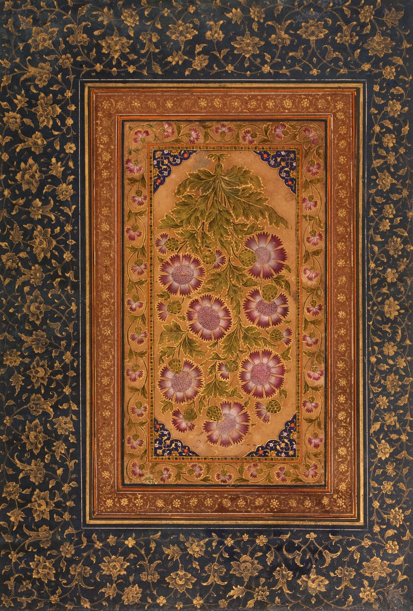 Albumseite mit Stokesia und Porträt von Abdul Rahim Khan-e Khanna von Indian School