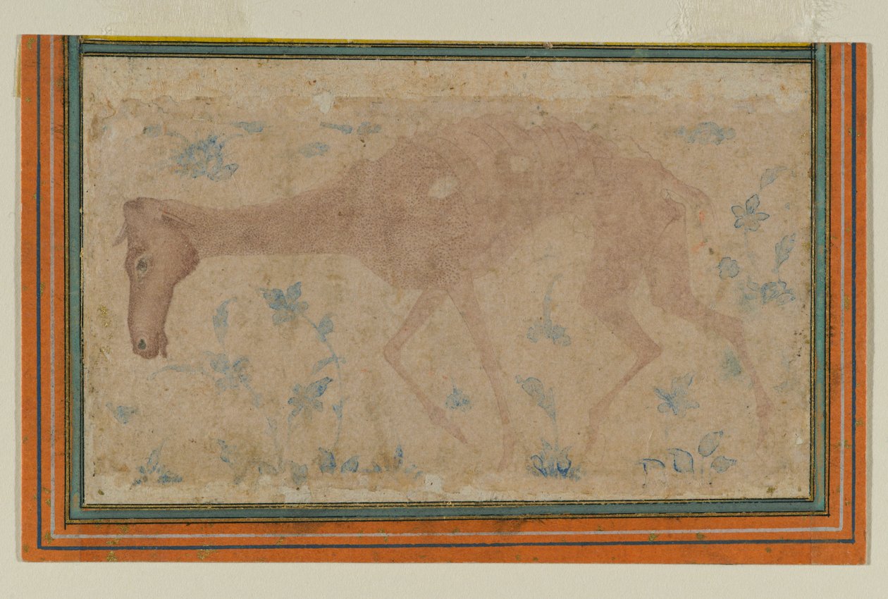 Ein abgemagertes Pferd (Mughal oder Deccan, Mitte des 17. Jahrhunderts) von Indian School
