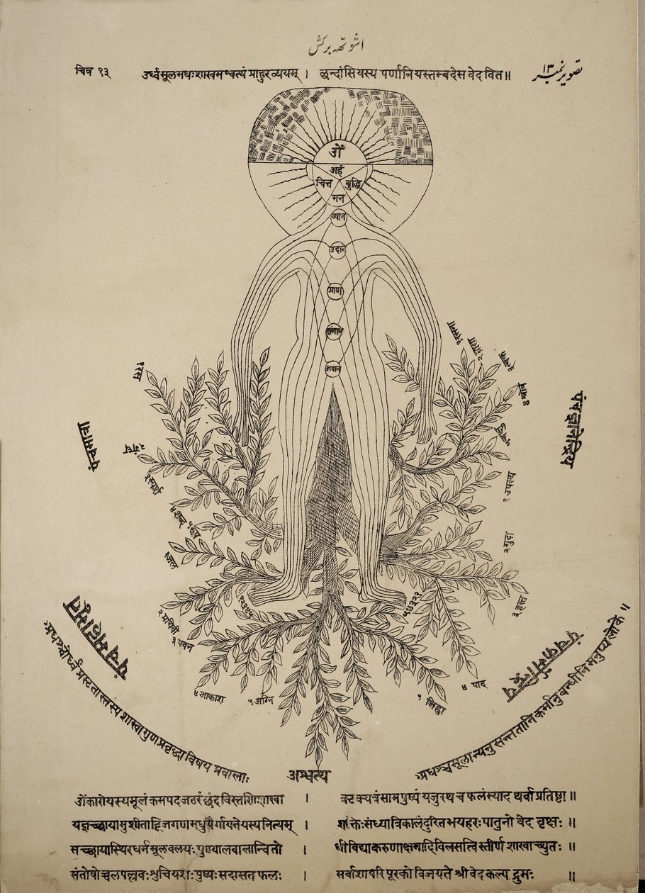 Diagramm der Meridianpunkte am menschlichen Körper von Indian School