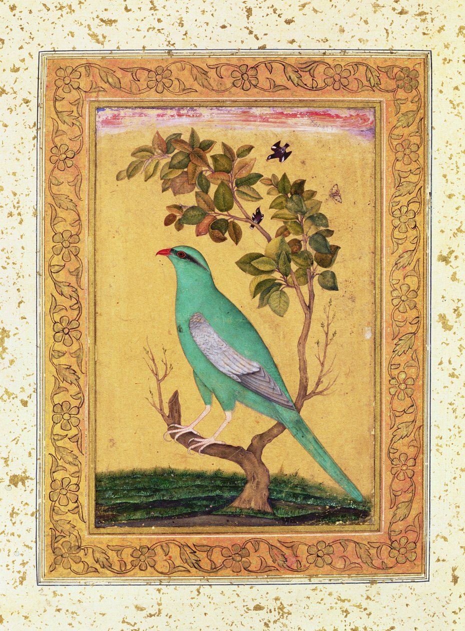 Grüner Vogel, Mughal von Indian School
