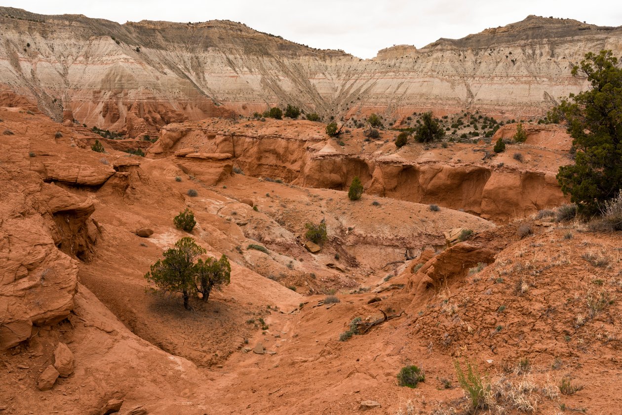 Eine Landschaft im Kodachrome Basin State Park, Utah, 2019 von Ira Block