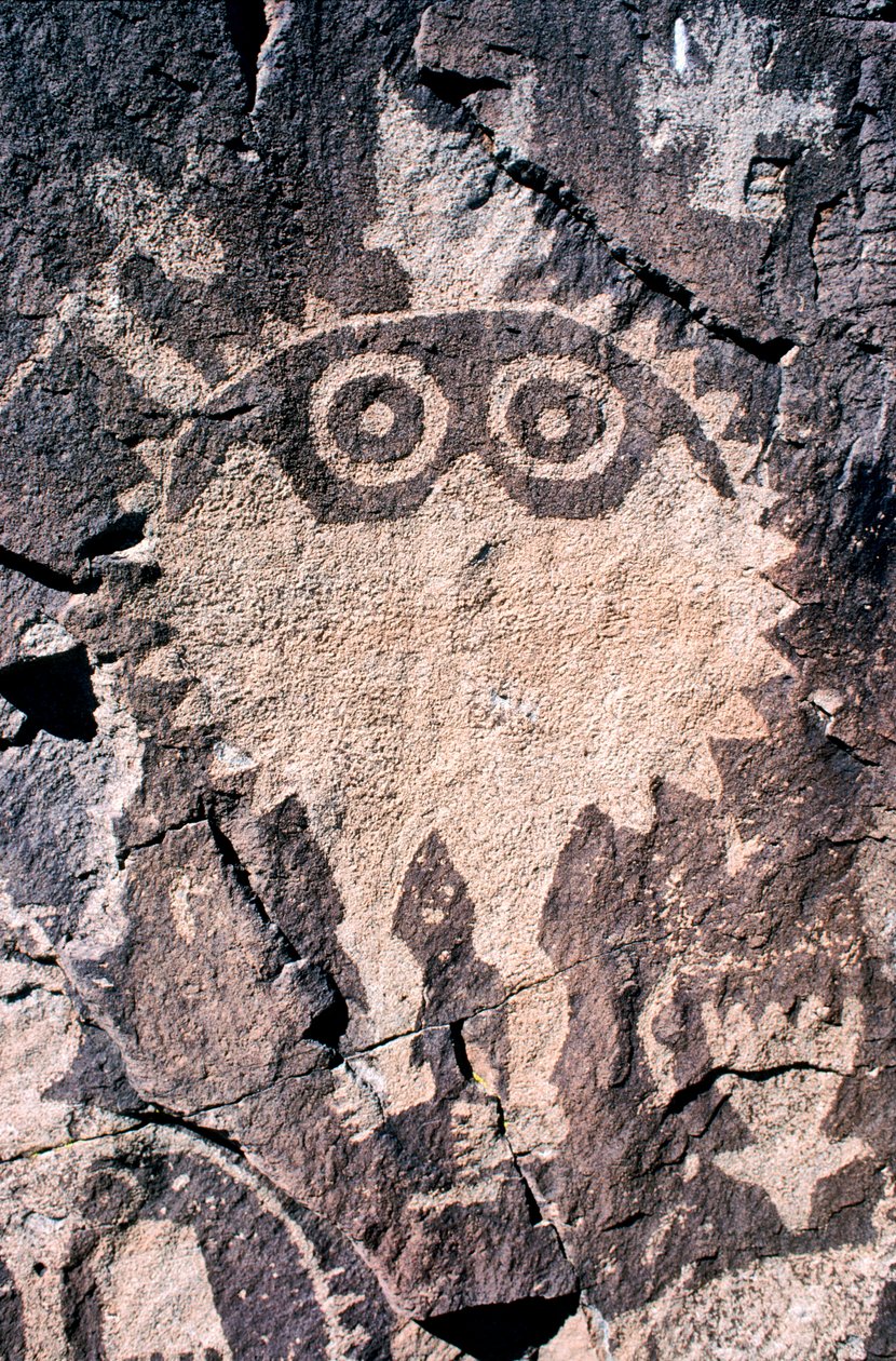 Anasazi-Petroglyphen (Felskunst) in New Mexico von Ira Block