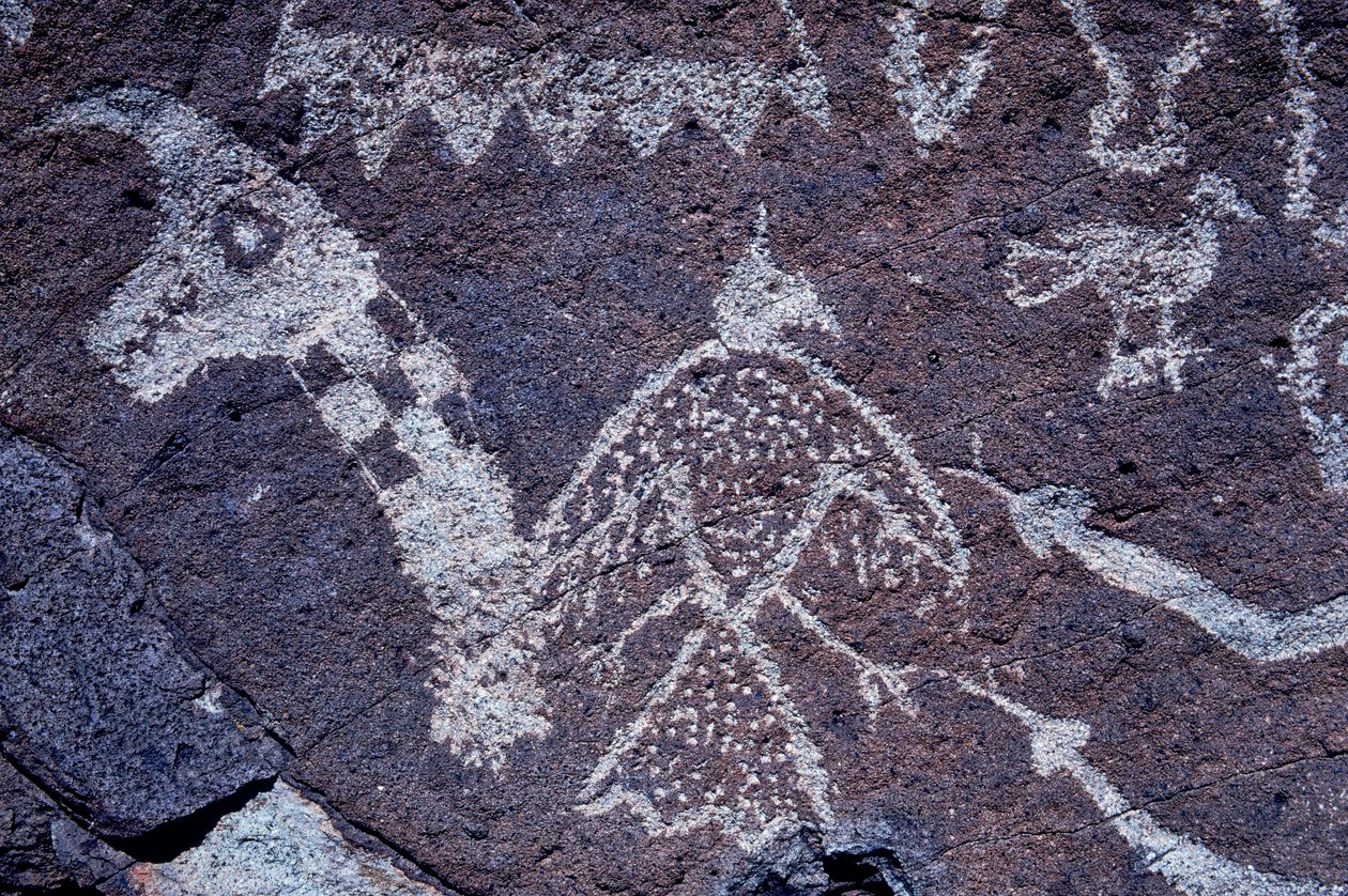 Anasazi Petroglyph (Felskunst) Schnitzereien in New Mexico von Ira Block