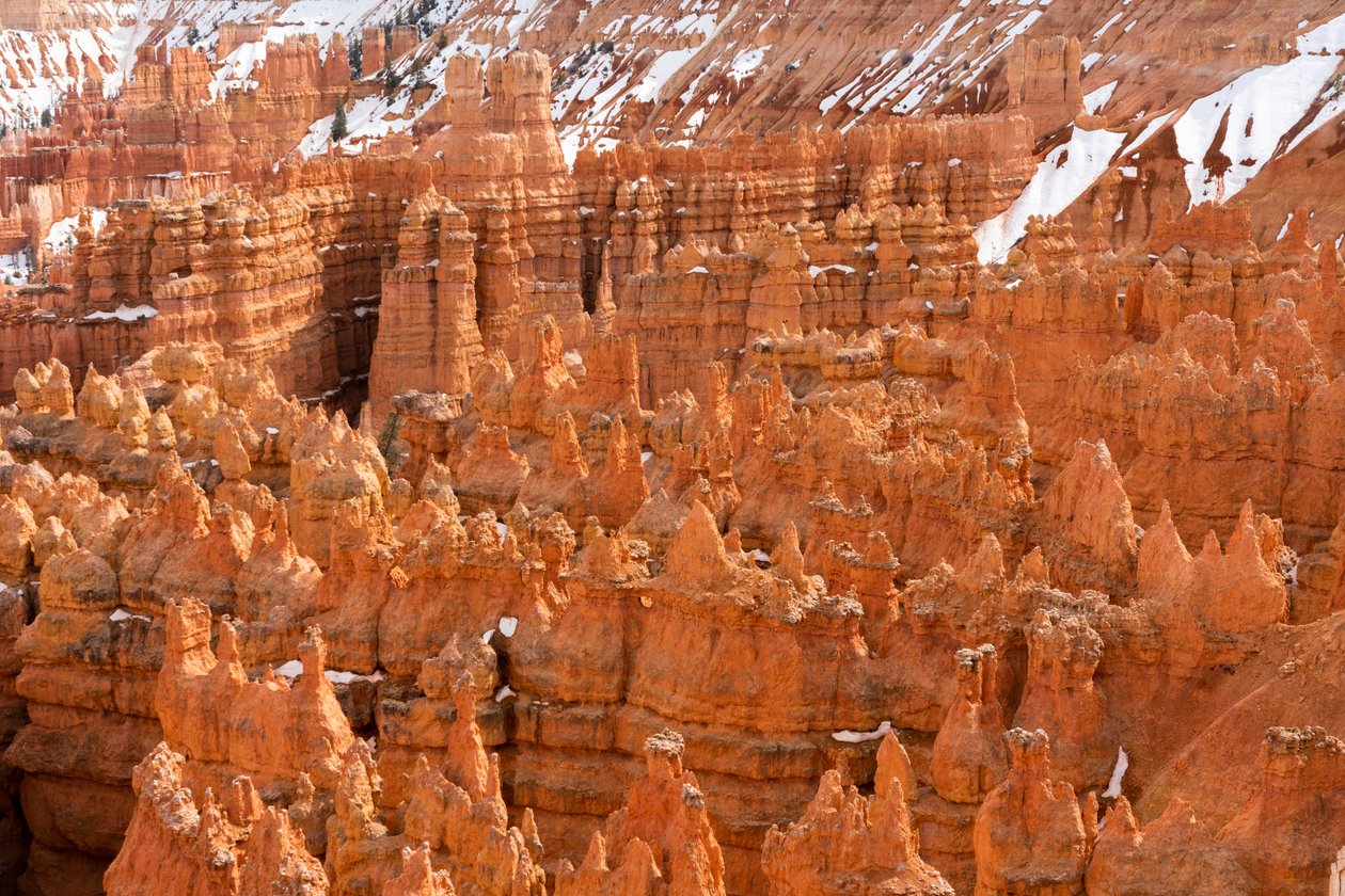 Hoodoos - durch Erosion entstandene Türme - im Bryce Canyon Nationalpark in Utah, 2019 von Ira Block