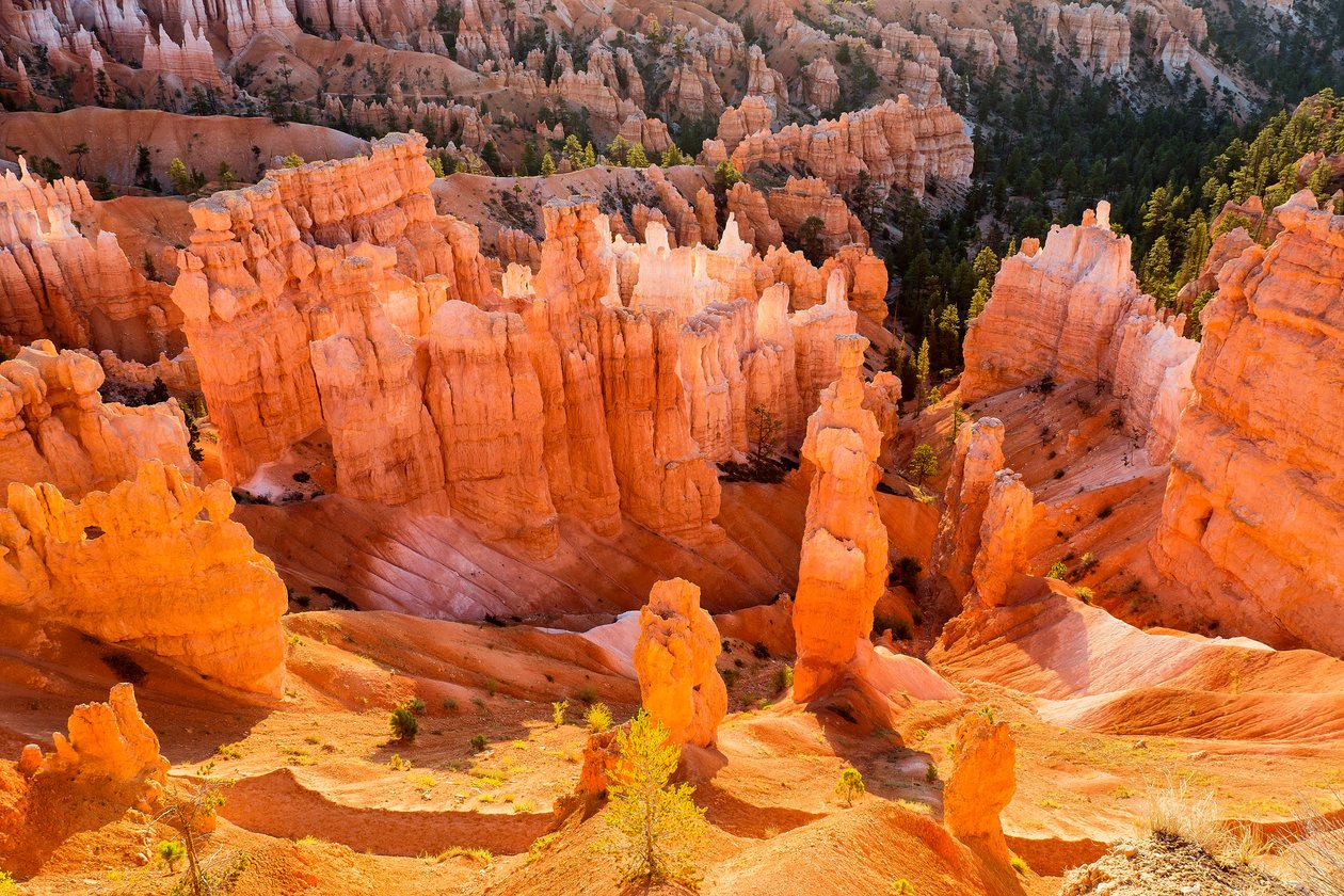 Sonnenaufgang auf Hoodoos im Bryce Canyon Nationalpark von Ira Block