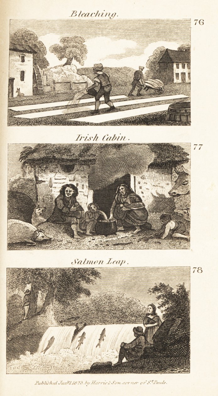 Berufe im Regency-Irland: Bleichen, irische Hütte und Lachssprung von Isaac Taylor