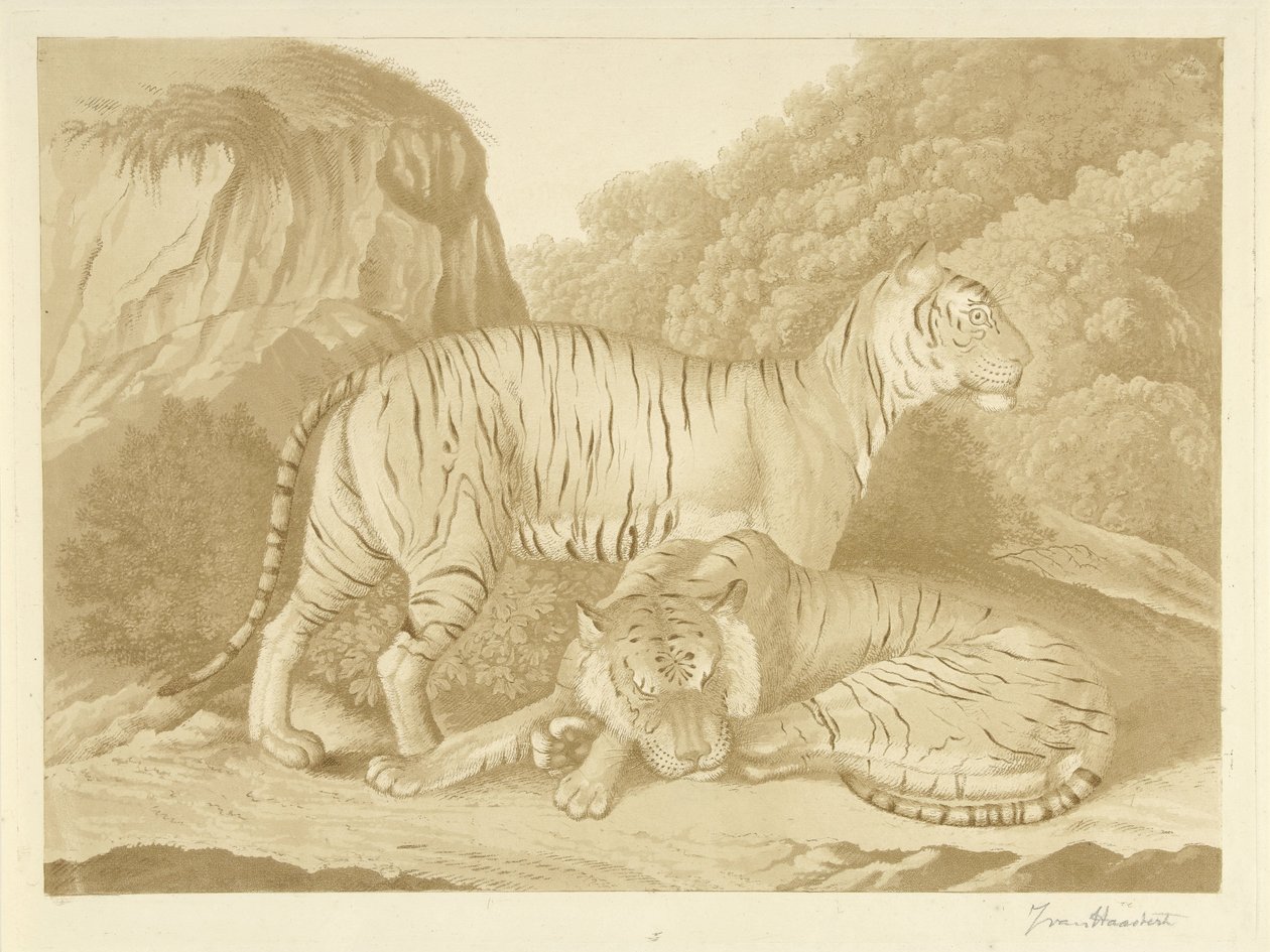 Zwei Tiger in einer Landschaft von Isaac van Haastert (signed by artist)