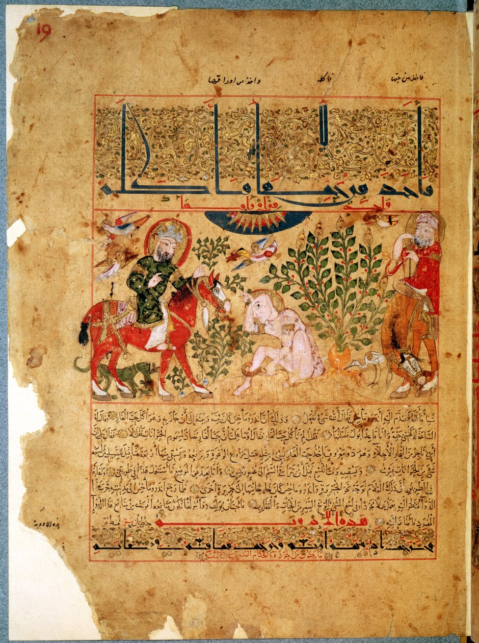 Ms. Arabe 2964 fol.19 Der Arzt Anoromachus heilt seinen von einer Schlange gebissenen Bruder, aus Abhandlung über Theriak nach Galien, 1217 von Islamic School