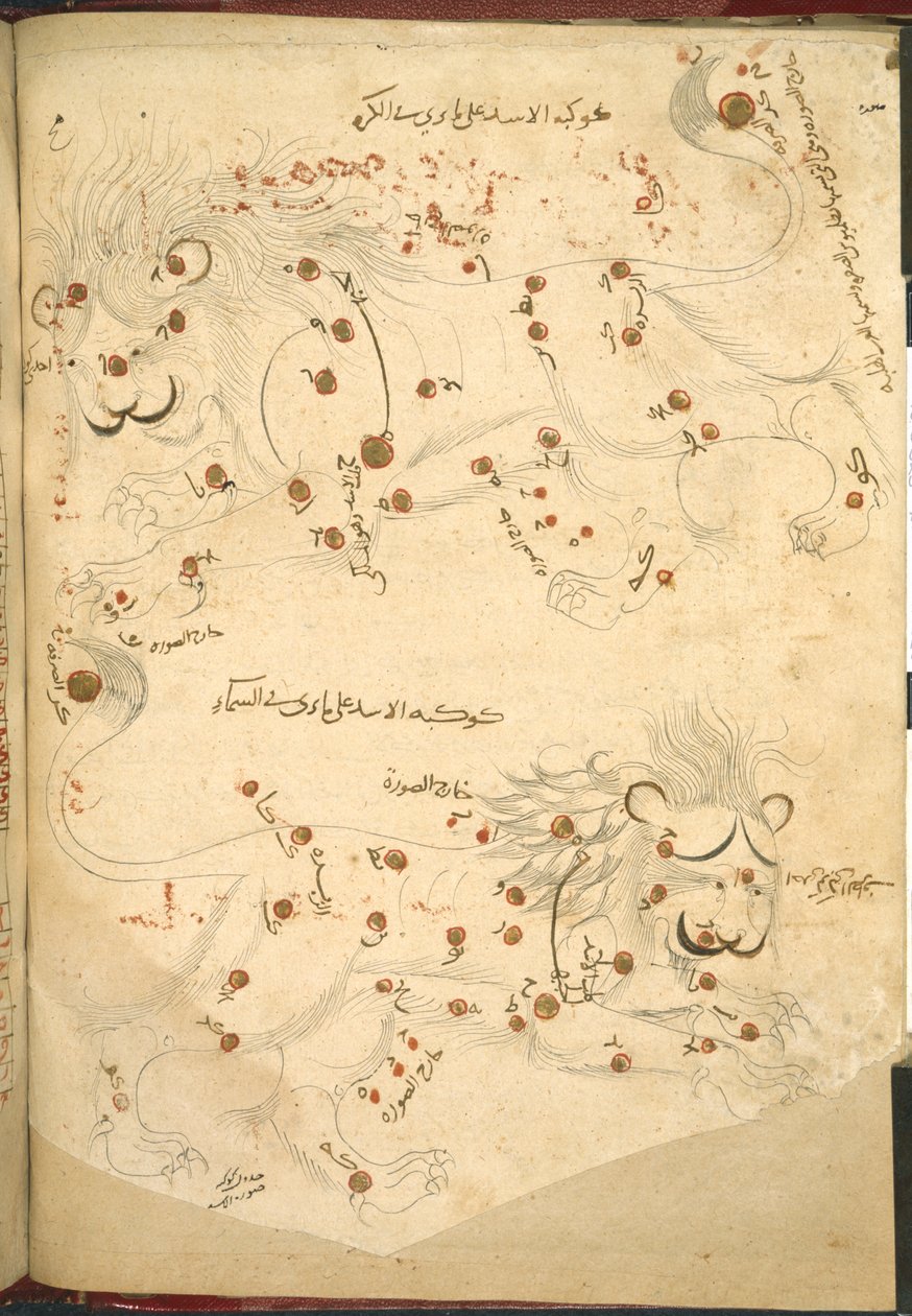 Zwei Löwen, Illustration aus 