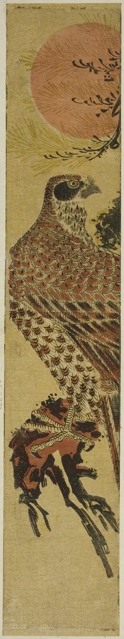 Falke bei Sonnenaufgang von Isoda Koryusai