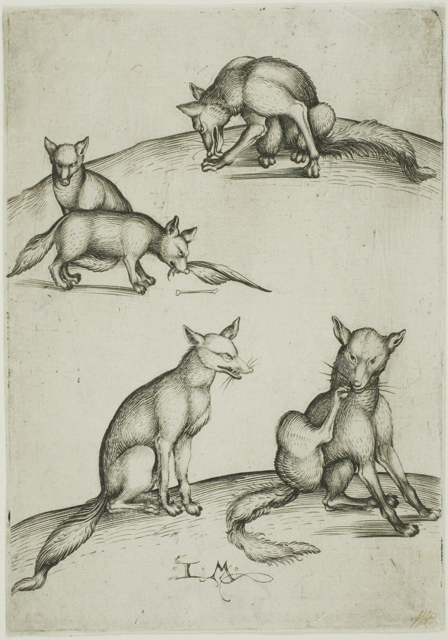 Die Fünf Füchse von Israhel van Meckenem the younger