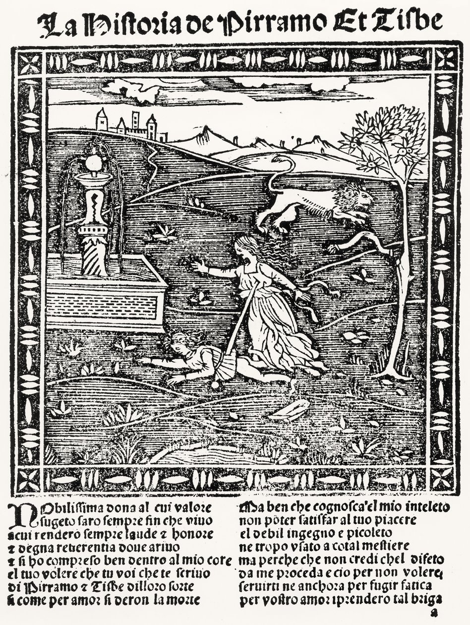 Die Geschichte von Pyramus und Thisbe von Italian School