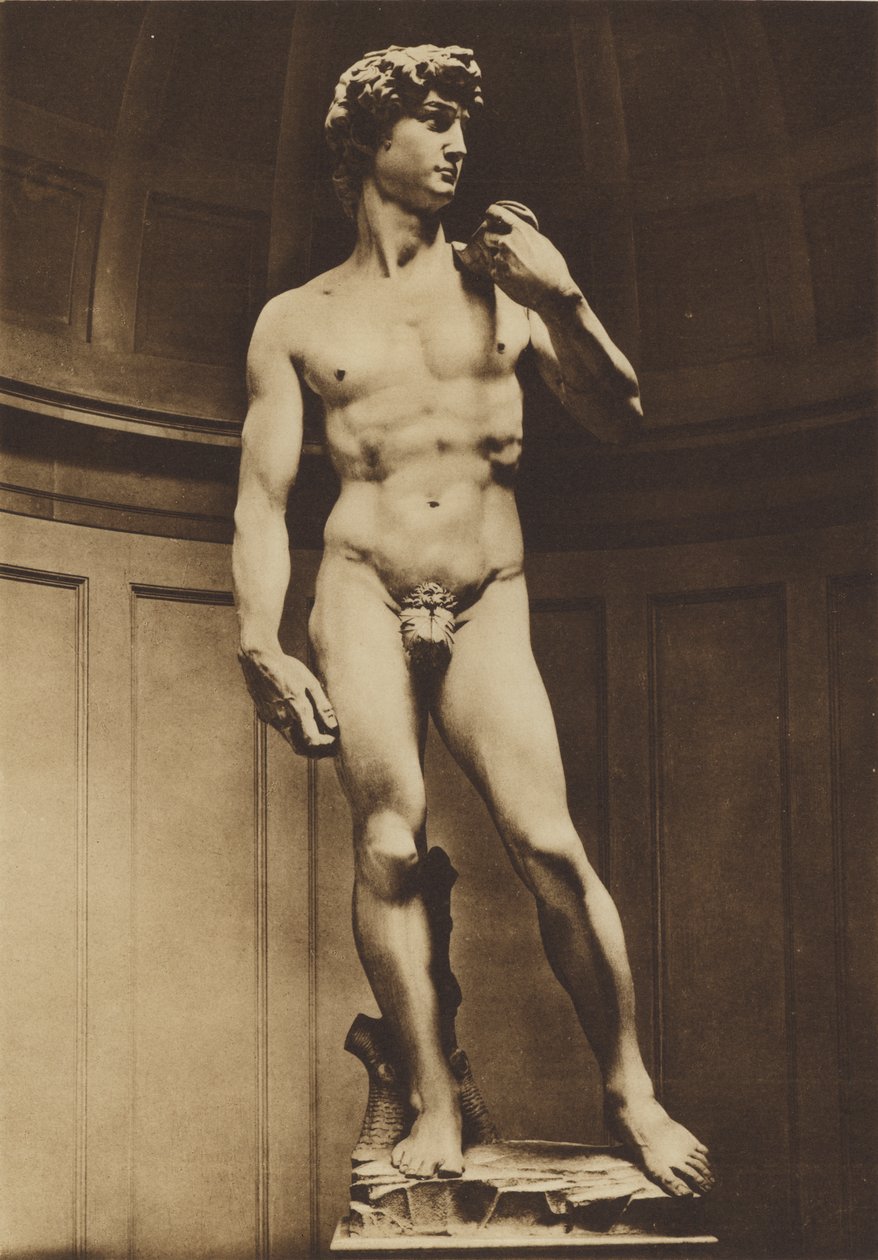 Florenz: David von Michelangelo von Italian Photographer