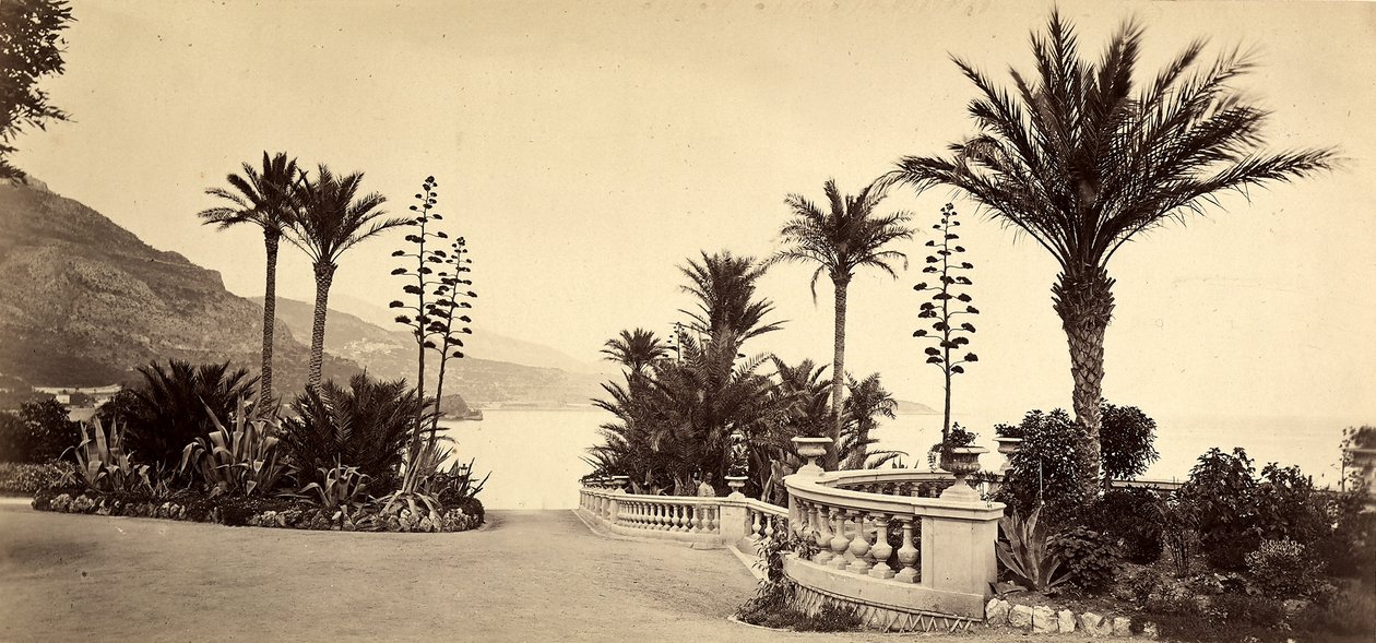 Der Garten des Casinos von Montecarlo, im Fürstentum Monaco von Italian Photographer