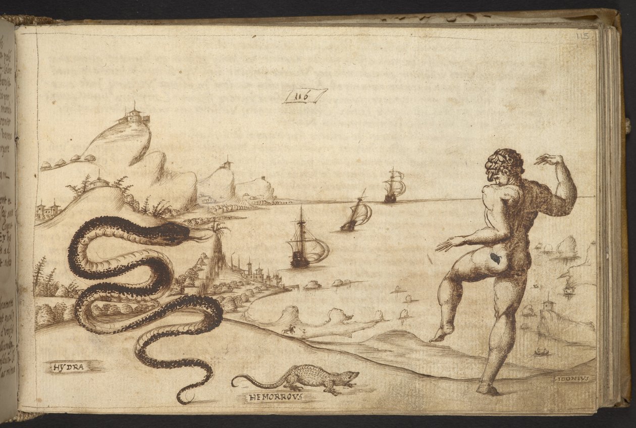 Add. 82955, f.115 Schlange (