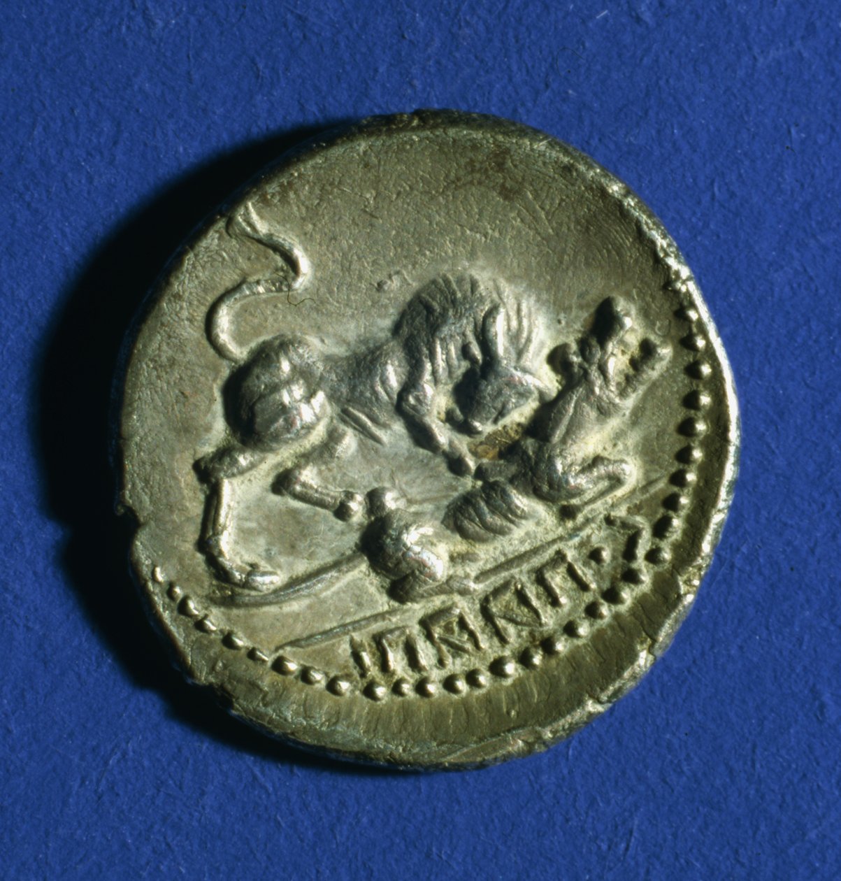 Münze der italischen Stämme mit einem Stier, der die römische Wölfin angreift, 89-90 v. Chr. von Italian School