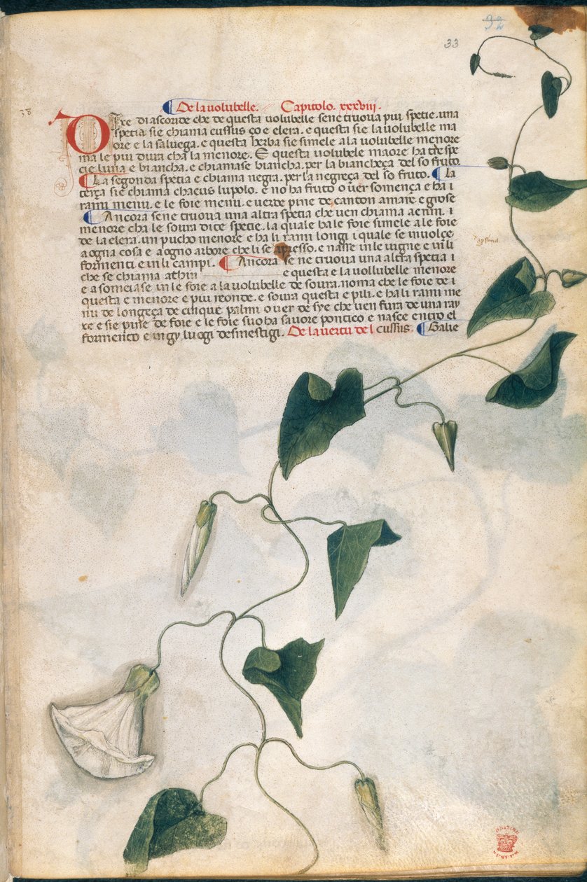 Winde, Illustration aus 