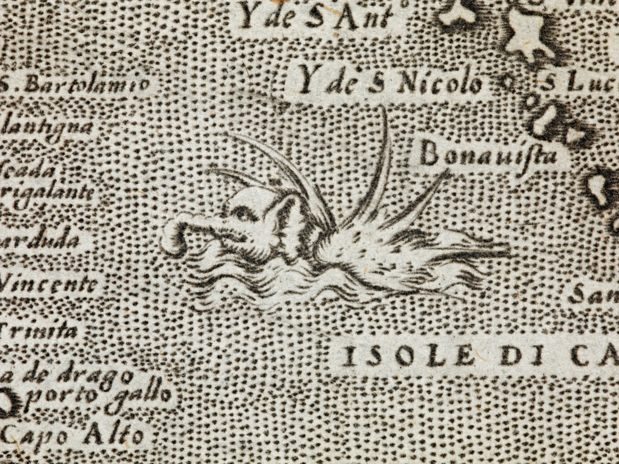 (Detail) eines See-Elefanten mit beeindruckenden Stacheln auf dem Rücken, aus 