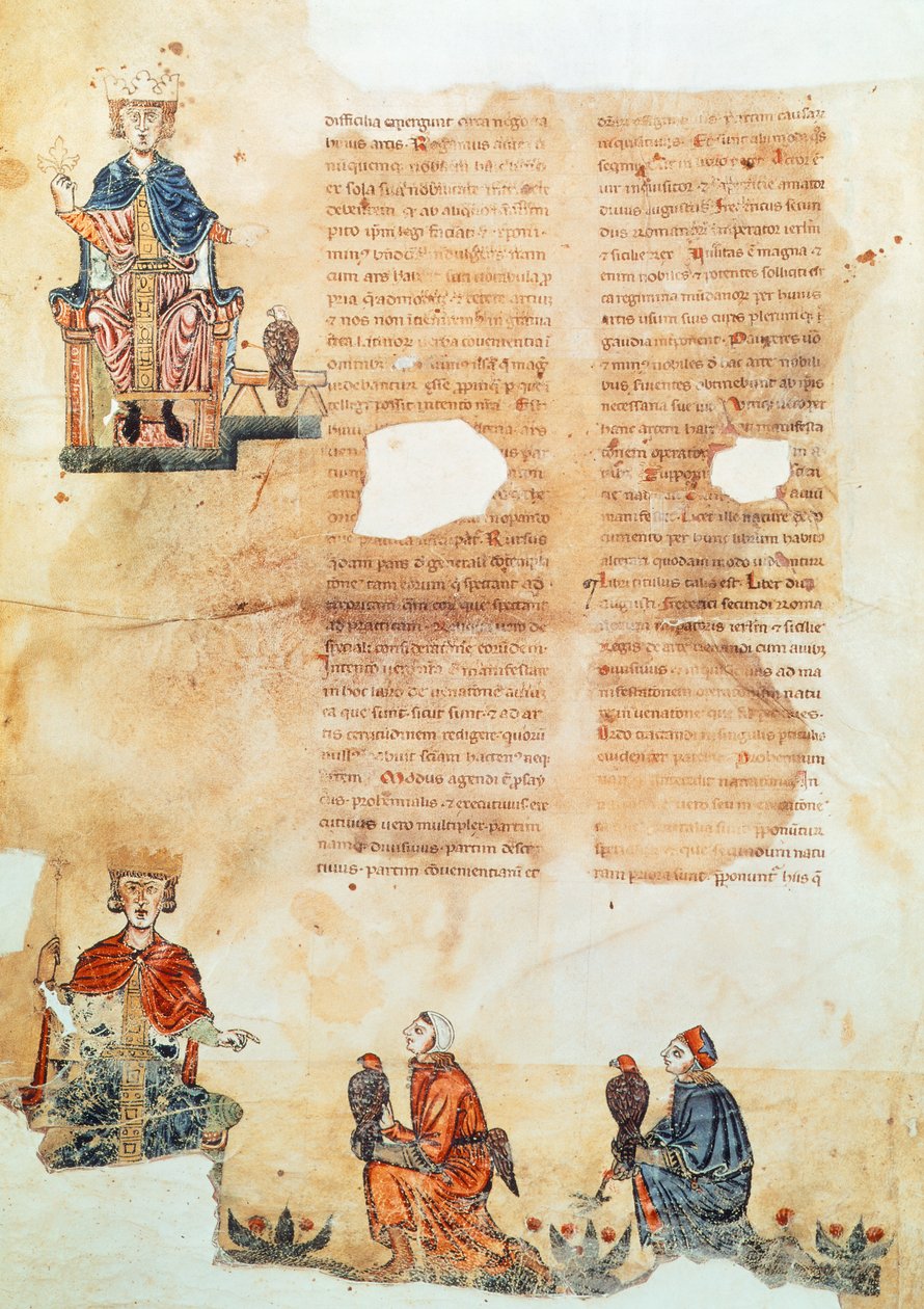 Kaiser Friedrich II. von Hohenstaufen, Illustration aus 