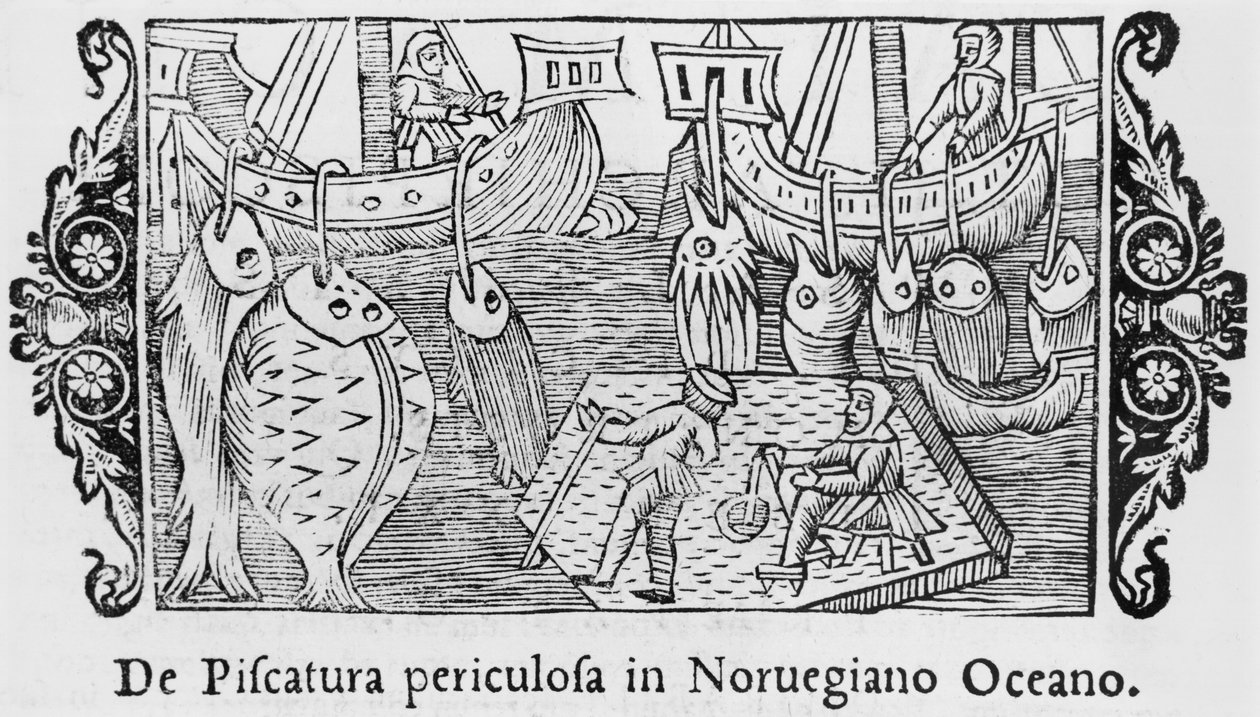 Fischen im norwegischen Ozean, Illustration aus Historia de Gentibus Septentrionalibus von Olaus Magnus (1490-1558), veröffentlicht in Rom, 1555 von Italian School