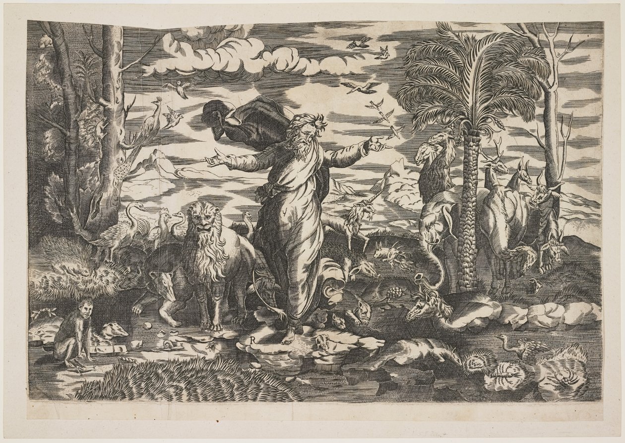 Gott erschafft die Tiere, um 1550 von Italian School