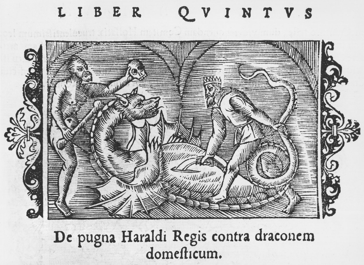 König Harald kämpft gegen einen Drachen, Illustration aus Historia de Gentibus Septentrionalibus von Olaus Magnus (1490-1558), veröffentlicht in Rom, 1555 von Italian School