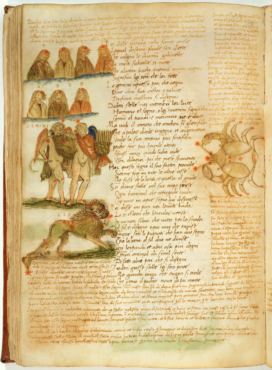 Zwillinge, Löwe und Krebs, aus dem 
