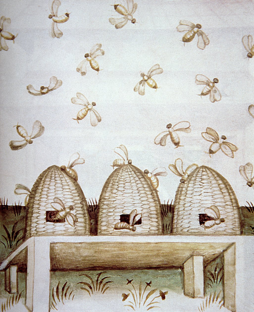 Nova 2644 fol.94v Bienenstöcke, aus Tacuinum Sanitatis von Italian School