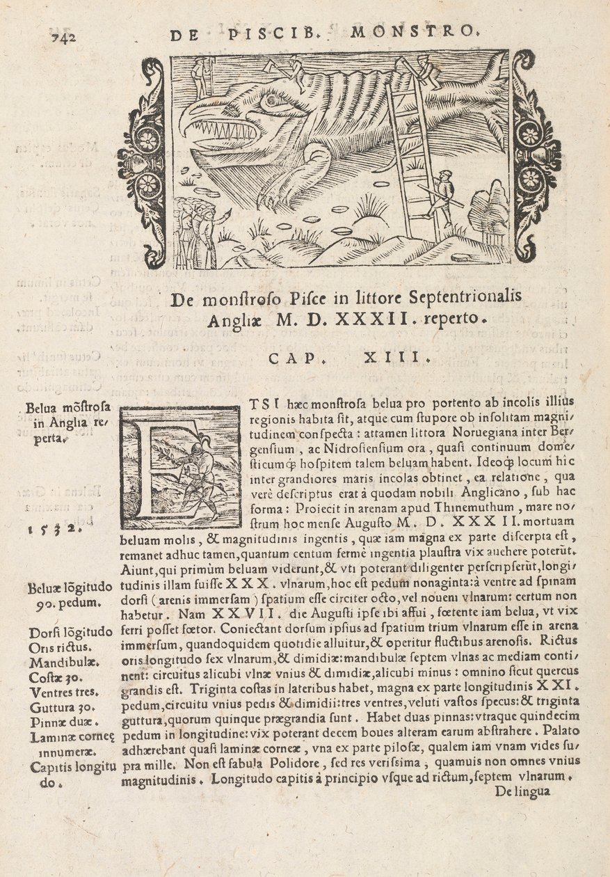 Seite 742 aus Historia De Gentivus Septentrionalibus von Magnus Olaus, Rom 1565 von Italian School