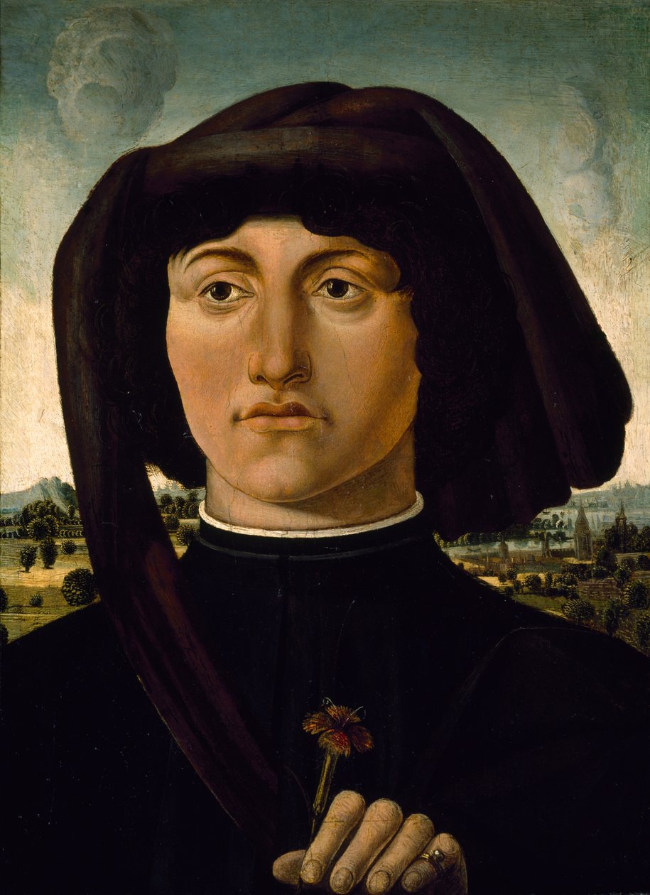 Porträt eines jungen Mannes mit einer rosa Blume, ca. 1475-85 von Italian School