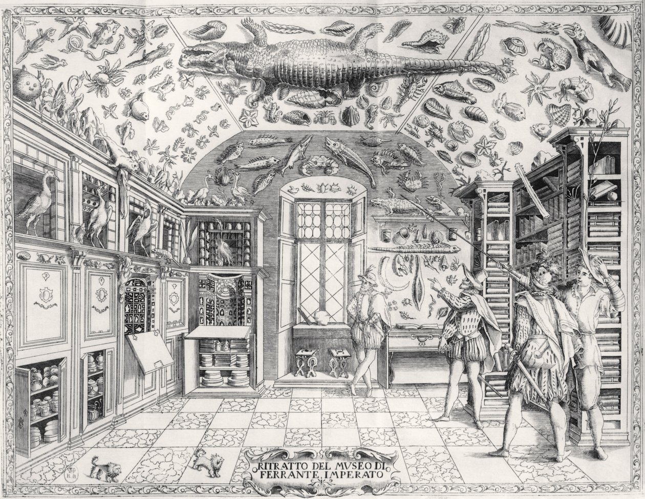 Das Naturkundemuseum von Kaiser Ferdinand III aus Historia Naturale von Ferrante Imperato, veröffentlicht 1672 von Italian School