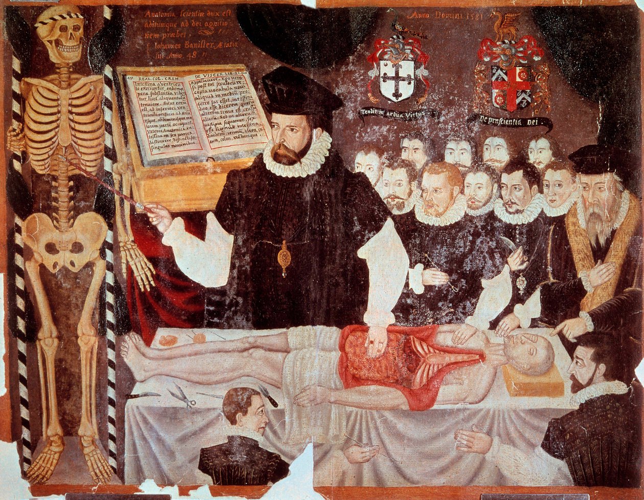 Die Anatomievorlesung von John Banister in der Barber Surgeons Hall im Jahr 1548 von Italian School
