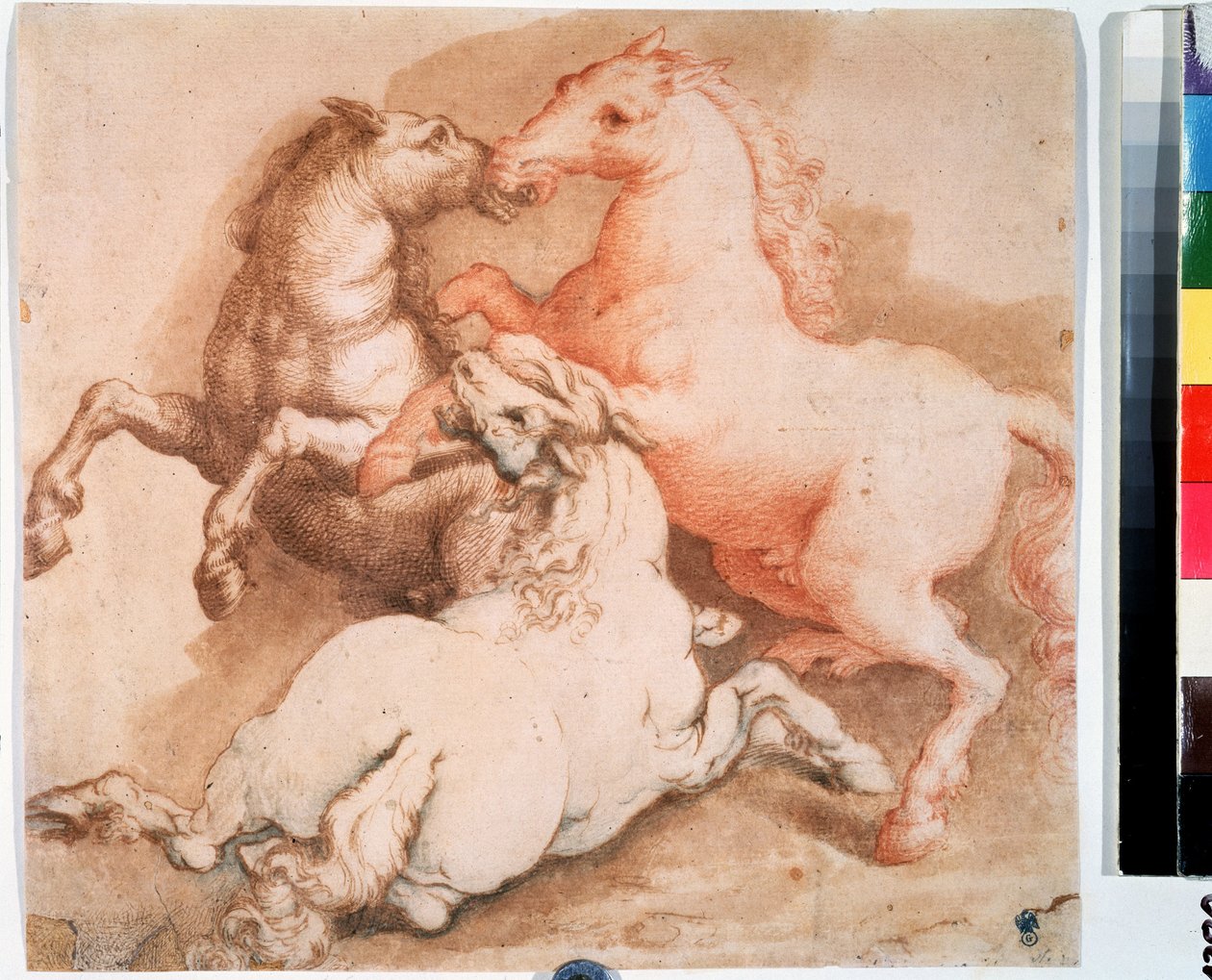 Kampf der Pferde. Zeichnung mit Feder, Tinte der italienischen Schule. 1550-1600 von Italian School