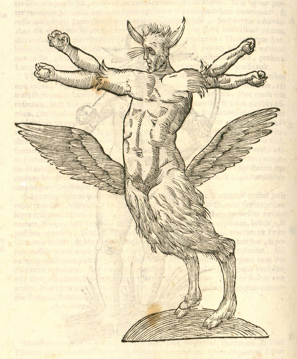Illustration von Monstrum tetrachiron alatum capite humano aurito aus Aldrovandis Geschichte der Monster, 1642 von Italian School