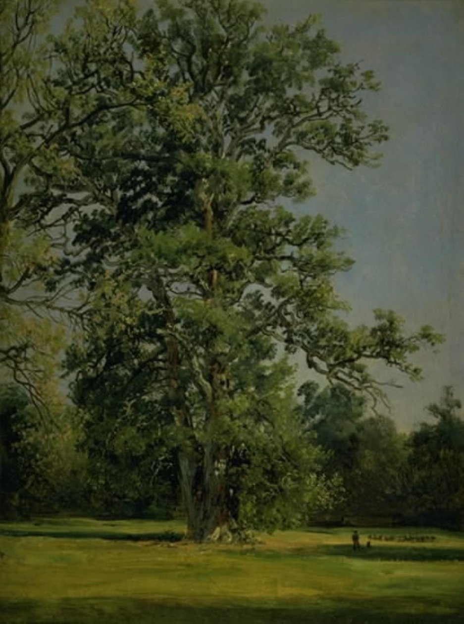 Eine Eiche. Blick auf den Garten in Wörlitz bei Dessau von Johan Christian Dahl