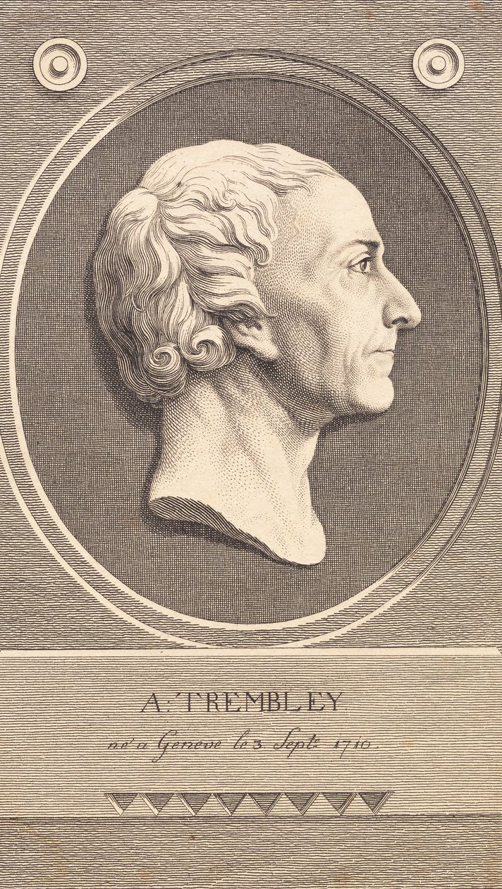 Reliefmedaillon mit Porträt des Zoologen Abraham Trembley von J.F. Clemens