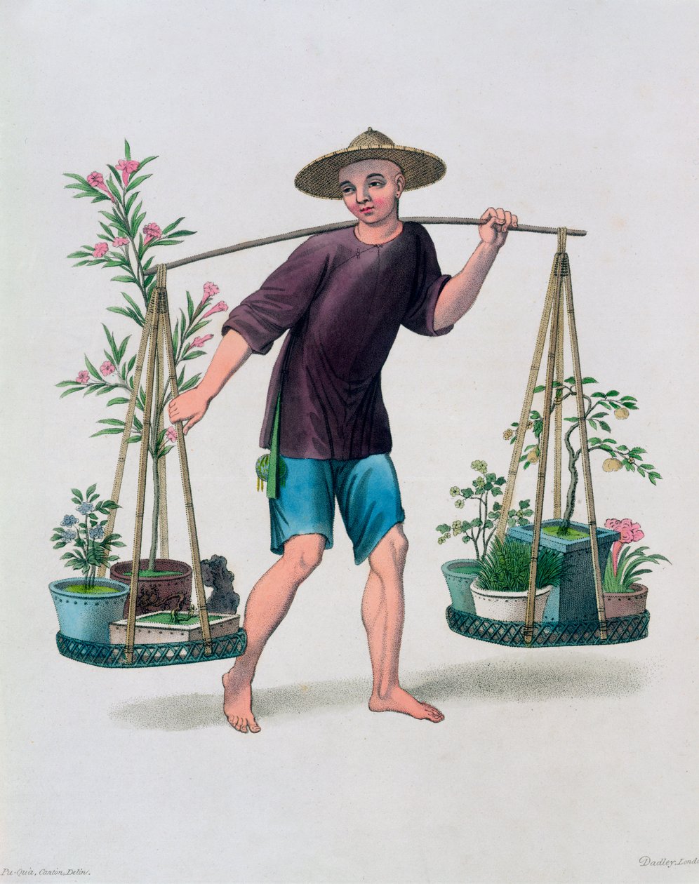 Ein Träger mit Obstbäumen und Blumen, China, 1800 von J Dadley