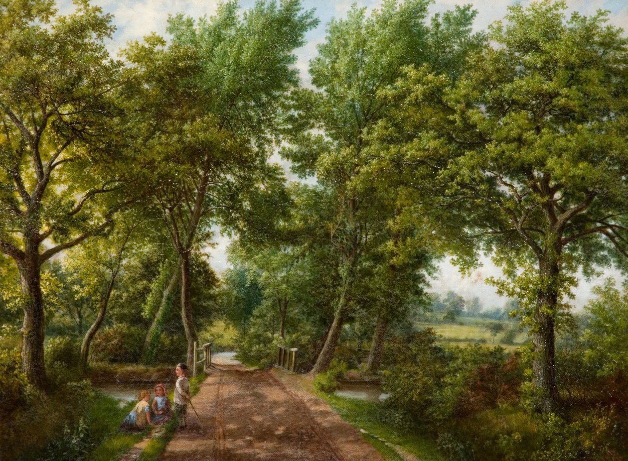 Hobb Moor Road Ford, Birmingham, 1870er Jahre von J. Jolly