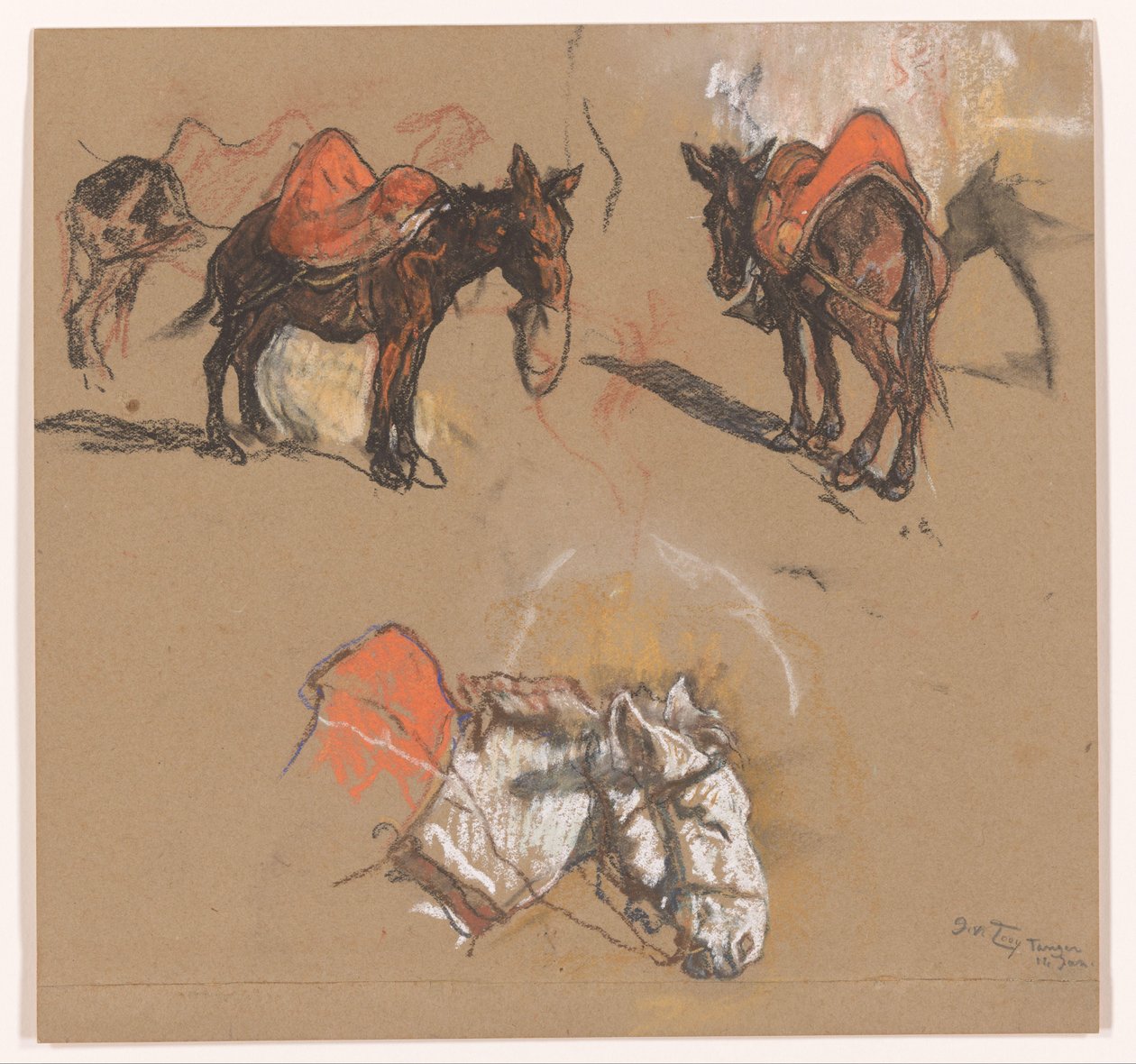 Studien von Eseln und einem Maultier auf dem Grote Markt in Tanger von Jac van Looij (signed by artist)
