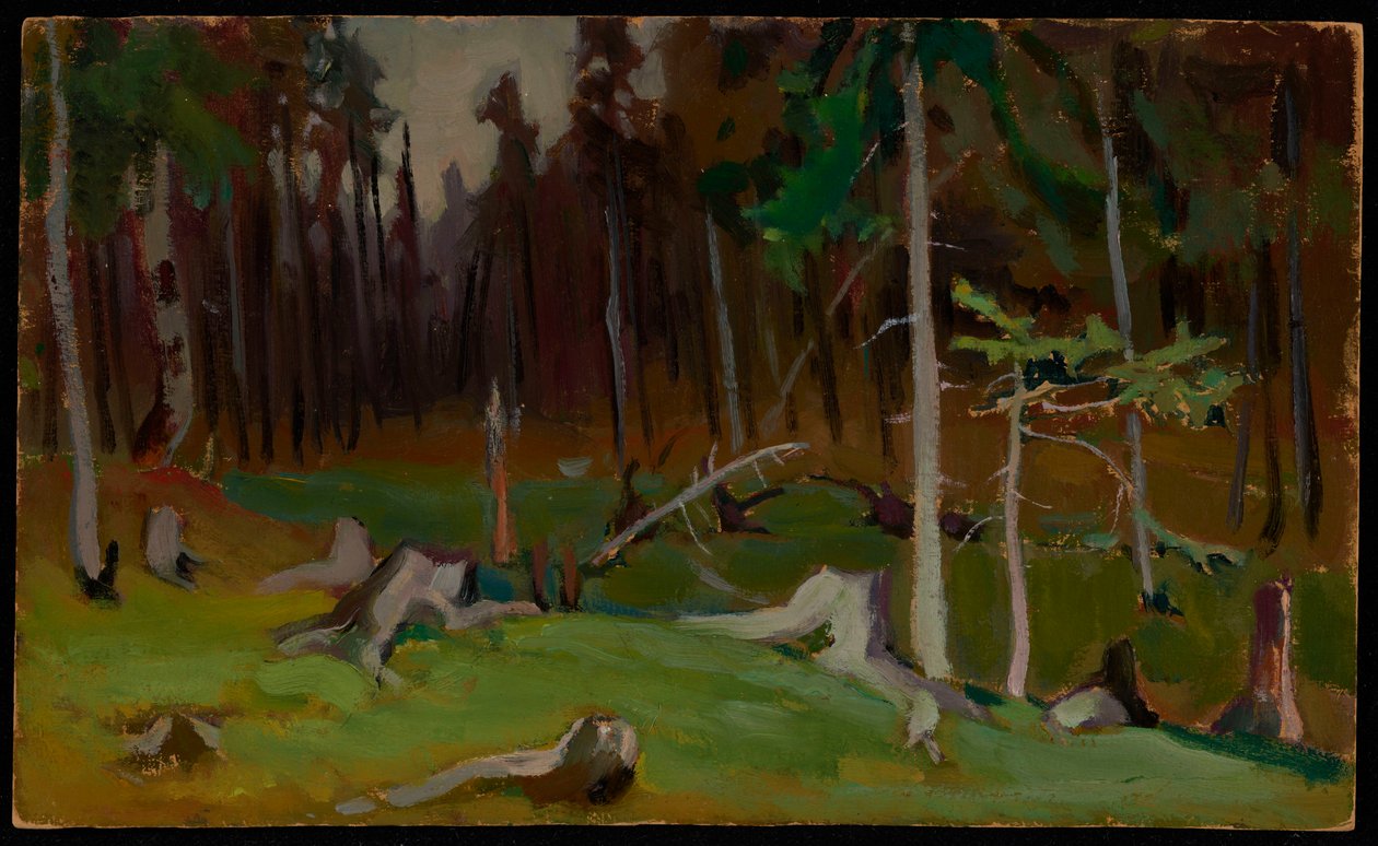 Lichtung im Wald von Jacek Malczewski