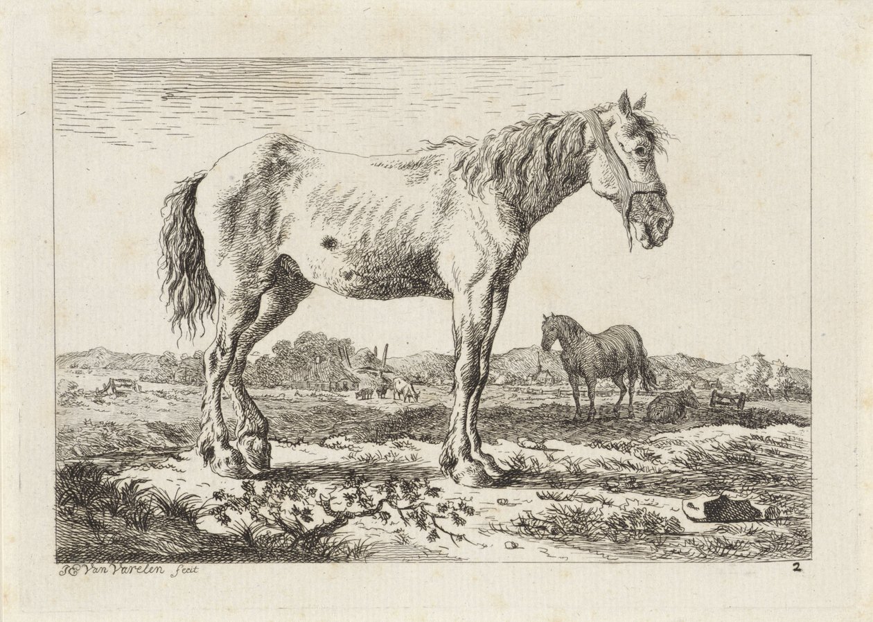 Stehendes Pferd in einer Landschaft von Jacob Elias van Varelen