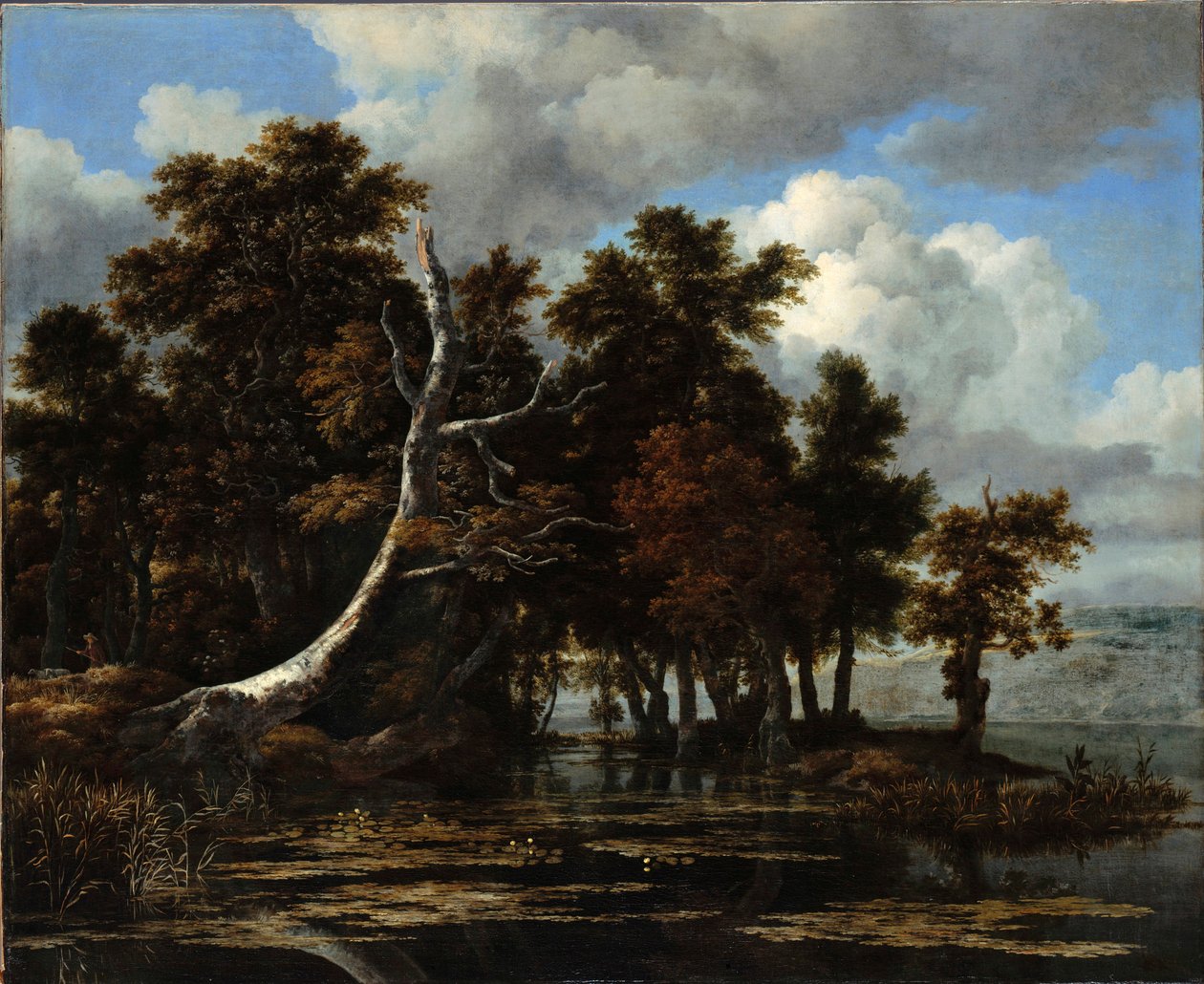 Eichen an einem See mit Seerosen von Jacob van Ruisdael