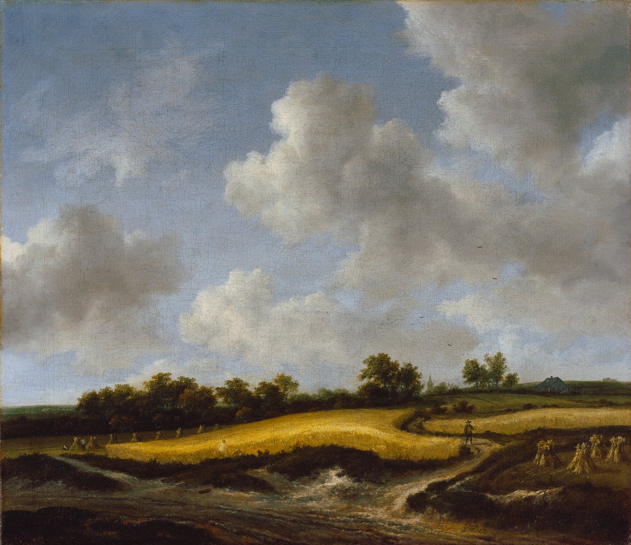 Landschaft mit einem Weizenfeld von Jacob van Ruisdael
