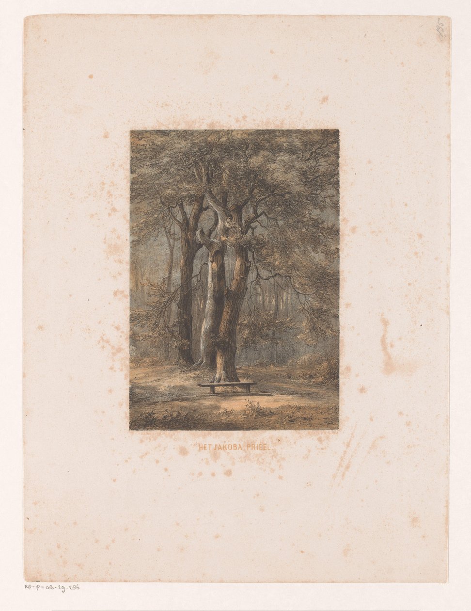 Jakoba-Laube von Jacob Jan van der Maaten
