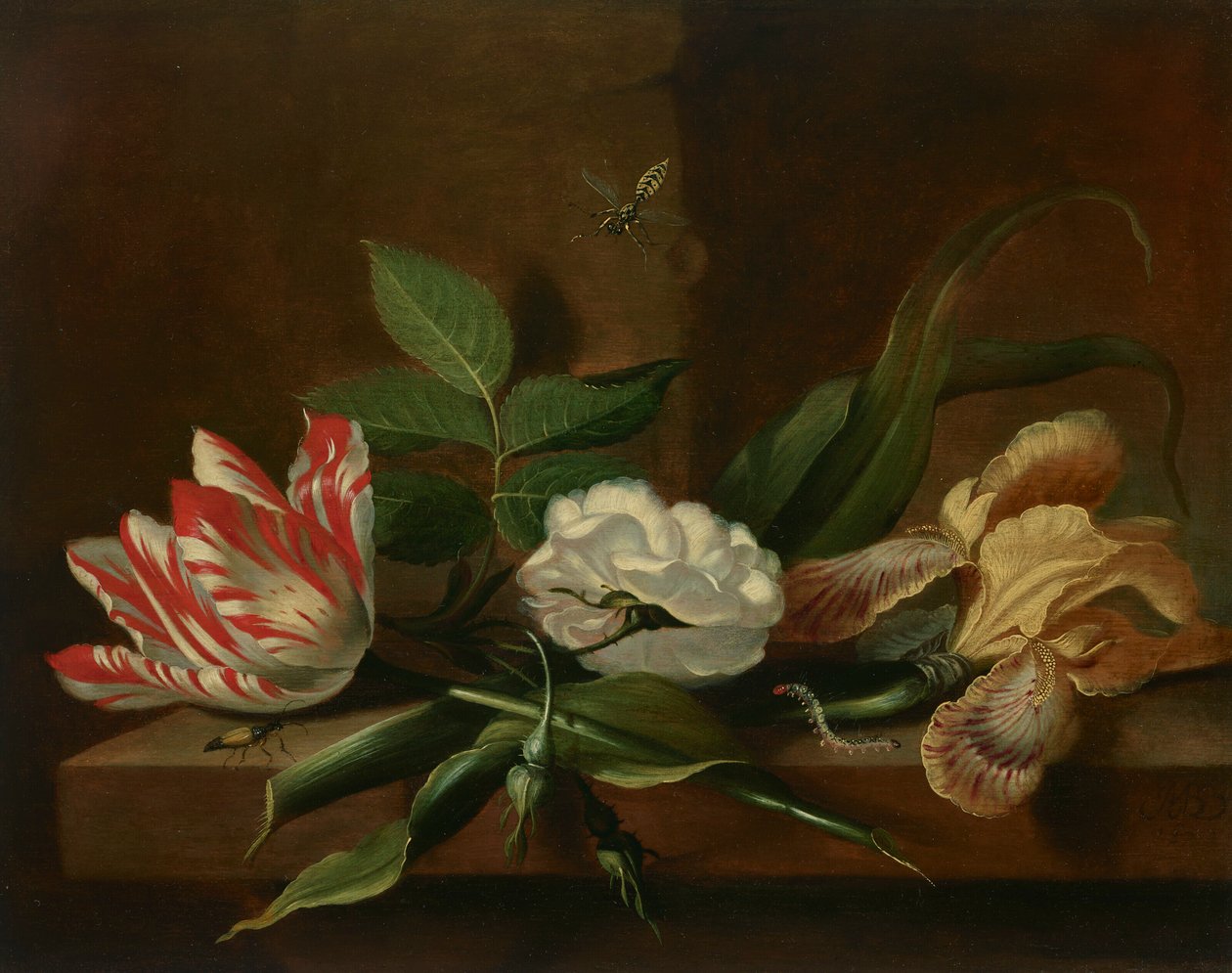 Ein Papageientulpe, eine Rose, eine Iris und Insekten auf einem Holztisch von Jacob Marrel