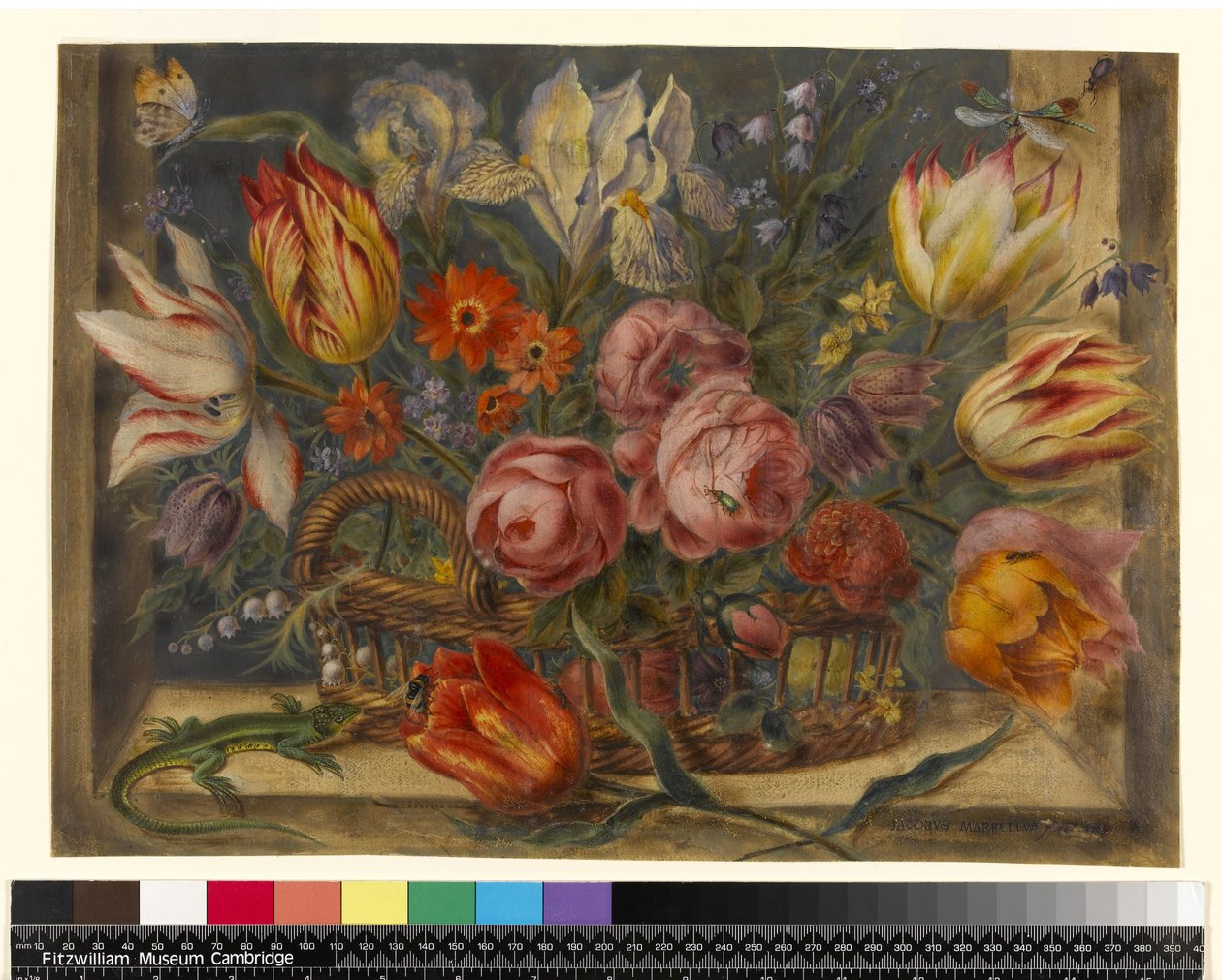 Blumenstudie: Verschiedene Blumen in einem Korb, mit Insekten und einer Eidechse in einem Fensterrahmen, 1634 von Jacob Marrel